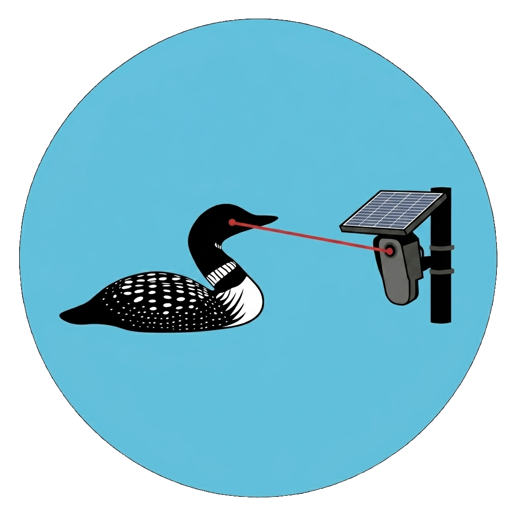laser loon zapping a license plate reader